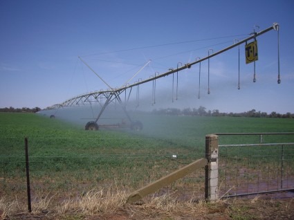 Pivot Irrigation at Euberta Centre